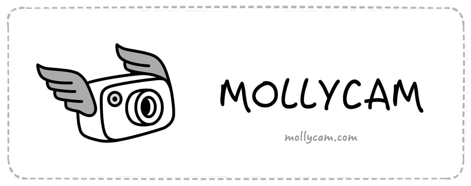 认识 MollyCam
